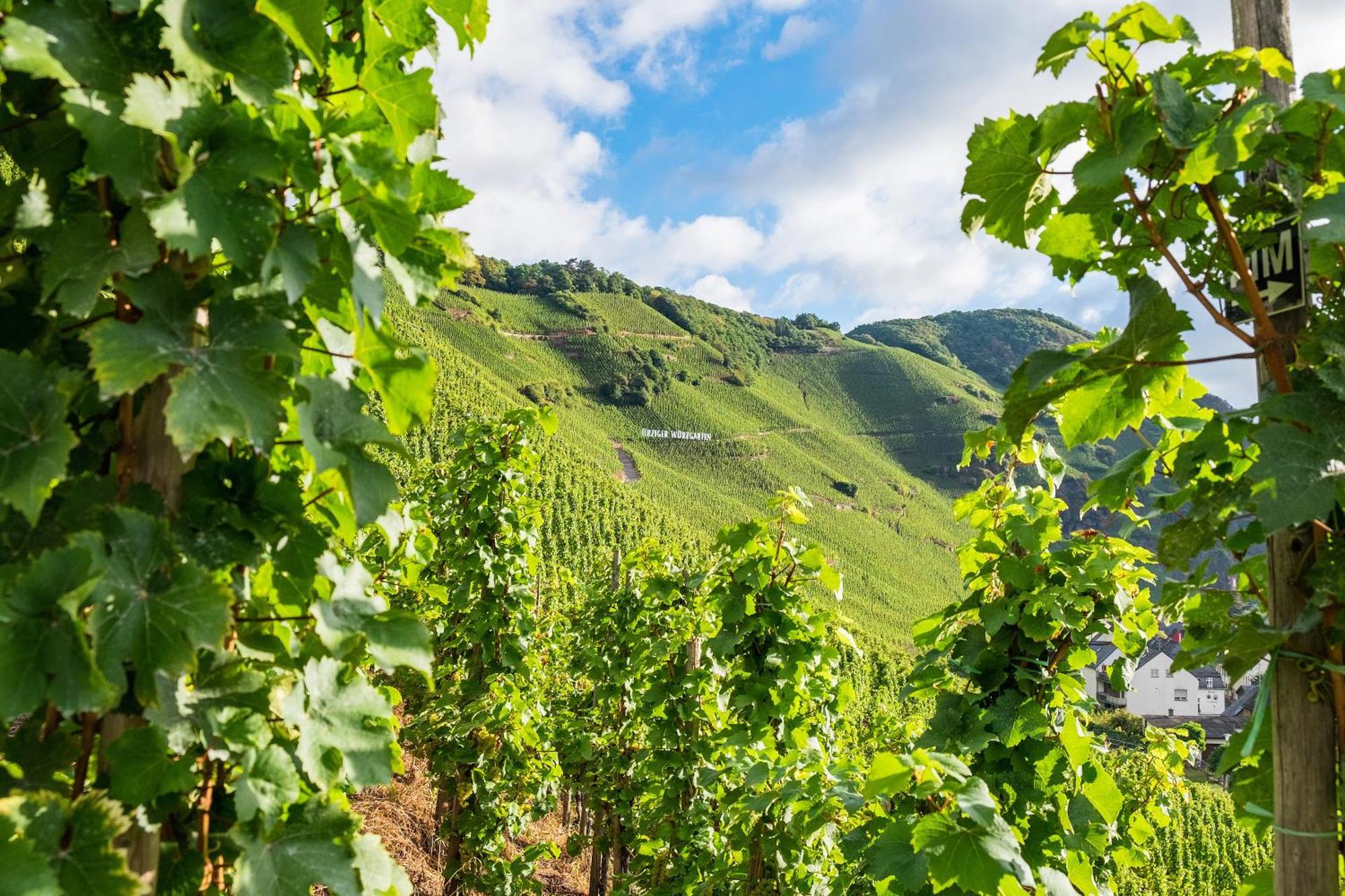 Weingut / Gaestehaus Gerlach Uerzig Luaran gambar