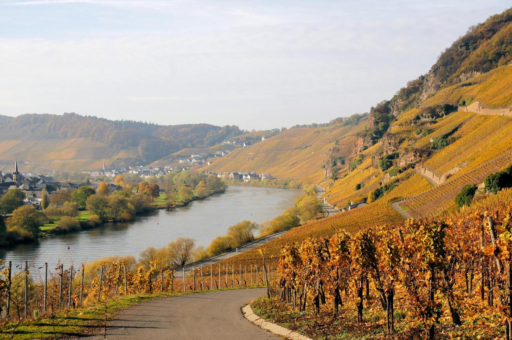 Weingut / Gaestehaus Gerlach Uerzig Luaran gambar