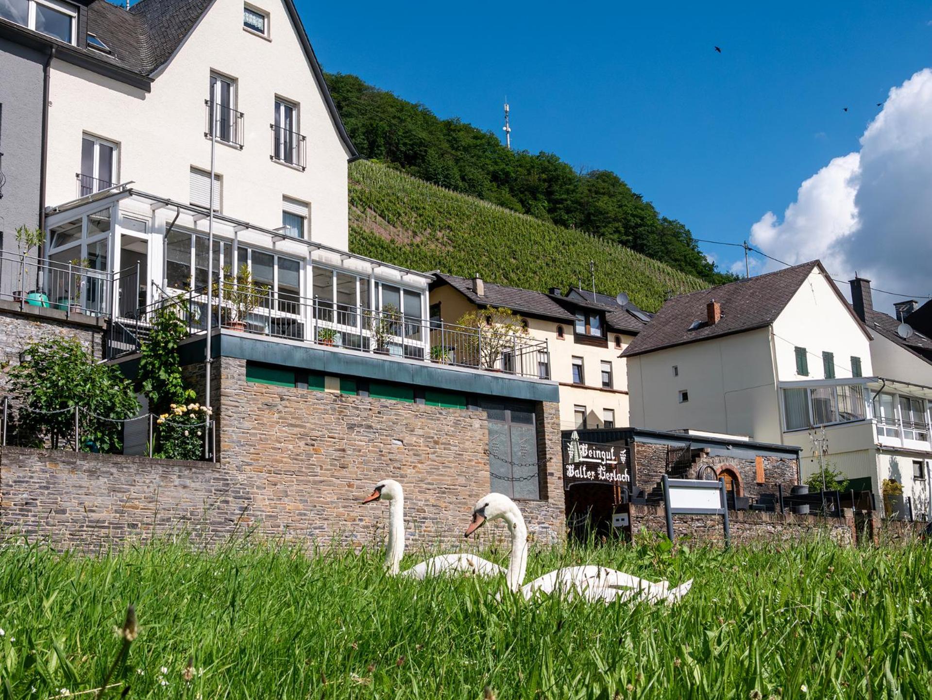 Weingut / Gaestehaus Gerlach Uerzig Luaran gambar